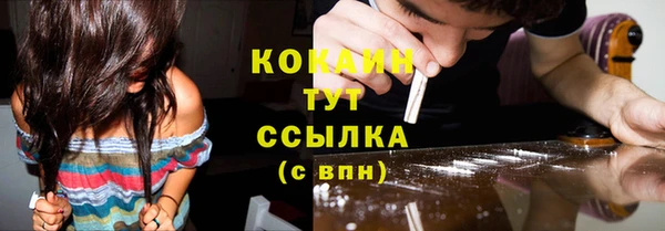 крисы Богородицк