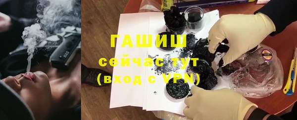 крисы Богородицк