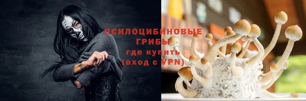 героин Богданович